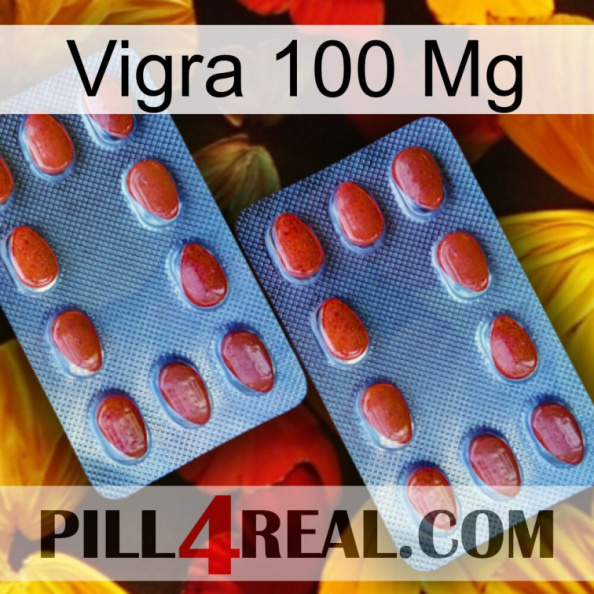 Vigra 100 Mg 05.jpg